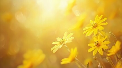 A cheerful yellow soft background with light textures, evoking feelings of happiness and positivity