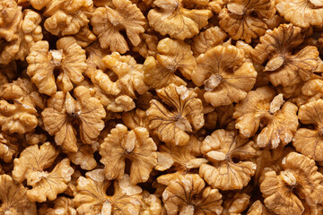 Fresh raw crispy walnuts without shells