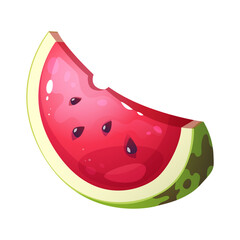 Watermelon vector illustration. Juicy fruit