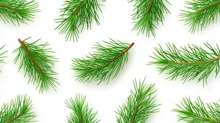 Fresh Green Pine Branches on White Background for Nature Themes