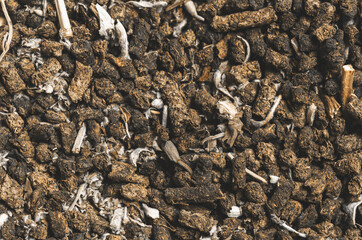 Granulated tea. Beautiful background for the design.