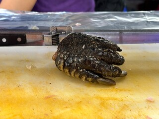 A detailed close up view of a crocodile claw resting on a cutting board