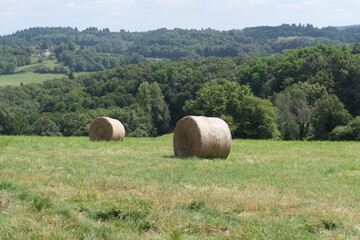 Round hay bales dot a green hill with trees, under a bright blue summer sky.