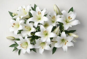 Obraz premium Top view of white lilies lying flat on white surface, zen, flat lay