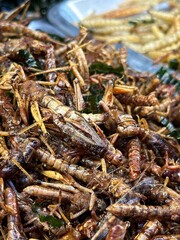 There is a sizable pile of delicious fried grasshoppers placed on a table