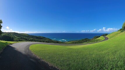 Obraz premium Wide view of a road surrounded by lush green grass 