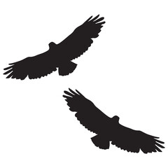 Obraz premium Buzzard Silhouette, Buzzard Vector Silhouette, Buzzard cartoon Silhouette, Buzzard illustration, Buzzard icon Silhouette, Buzzard Silhouette illustration