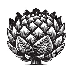 Artichoke Silhouette Vector Illustration, Solid White Background.