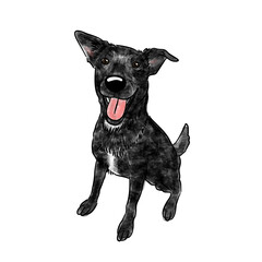 black dog watercolor illustration 