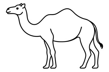 a camel line art vector illustration