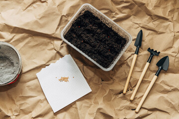 Kraft paper background, fertile soil and garden tools on top, top view. Planting seedlings in spring