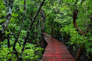 Obraz premium The Red Bridge Walkway