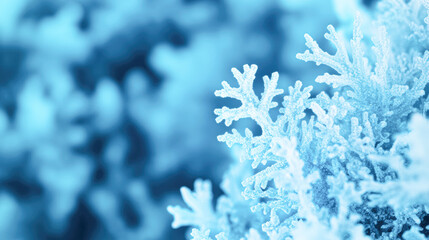 A close up of a frozen branch of a tree