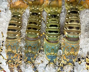 A group of lobsters is sitting on top of a bed of ice