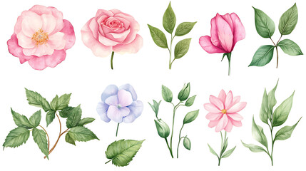 Watercolor floral illustration set with delicate flowers and leaves, isolated on white background. Soft watercolor floral bouquet set, vibrant blooms and greenery, isolated on white background