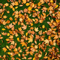 autumn leaves background