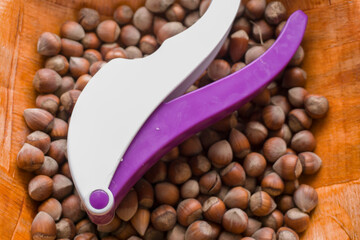 Nutcracker and Hazelnuts