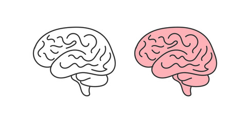 human brain vector illustration