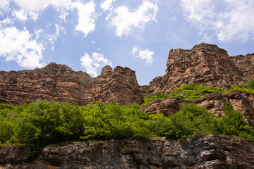 Green trees on beautiful rocks high in the mountains.