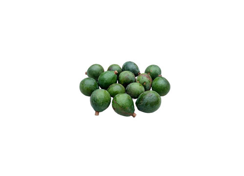 Cerrado Fruit, Curriola, Pouteria ramiflora