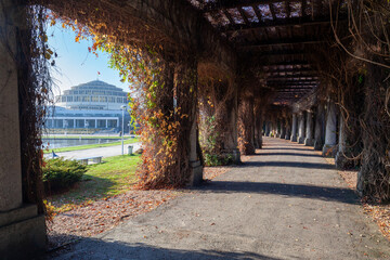 Pergola in Wroclaw, Poland