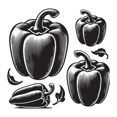 Bell Pepper Silhouette Vector Illustration, Solid White Background.