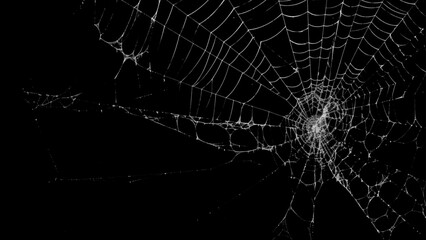 Creepy spider web covers black background Abstract