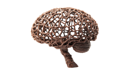 Abstract human brain concept for creativity and intelligence, transparent background