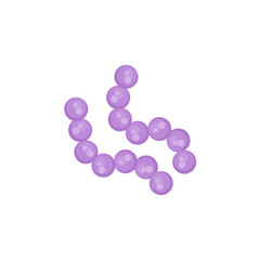 streptococcus pneumoniae bacteria illustration