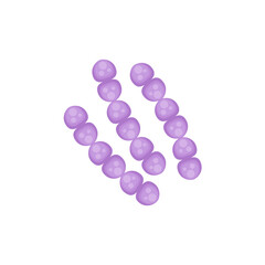 streptococcus pneumoniae bacteria illustration