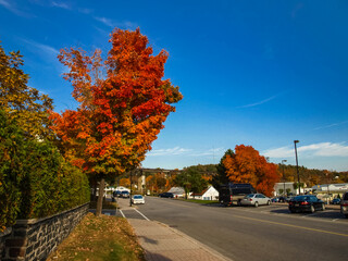 Autumn landscape on Lake Huron
