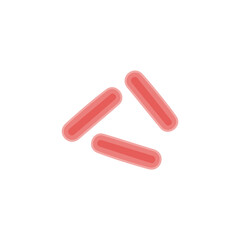 Klebsiella Pneumoniae illustration