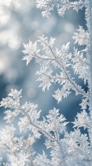 Close-up of snowflakes on the snow at dawn