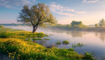 Obraz premium Beautiful spring landscape with green meadow and lonely tree on the lake