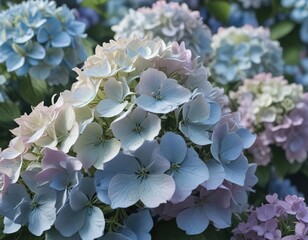 Hydrangea petals forming a blurred background, decorative, soft focus