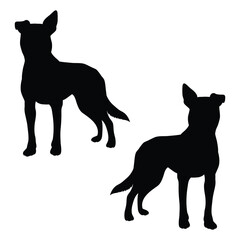 Cattle dog Silhouette, Cattle dog Vector Silhouette, Cattle dog cartoon Silhouette, Cattle dog illustration, Cattle dog icon Silhouette, Cattle dog Silhouette illustration