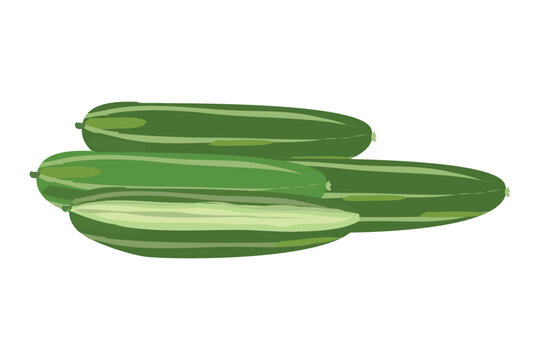 parval or Pointed gourd in green color clipart