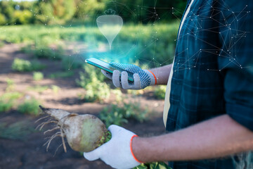 Farmer scanning sugar beet with AI app on smart farm, Smart AI technology for agriculture business...