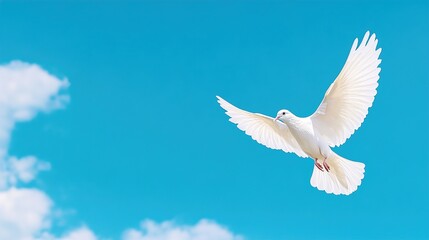 Fototapeta premium Beautiful white dove flying in the blue sky with copy space, a peaceful concept background.