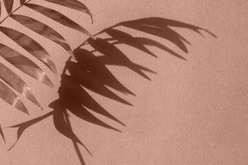 Shadows on the wall. A demonstration of the mocha mousse color. The trending fashionable color of...