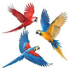 Three Colorful Parrots in Flight Against a Black Background