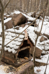 A small piece of lard hanging from a branch in a snowy forest. Feeding birds in cold seasons. Surviving winter, Fattening up Birds with suet. Caring for wildlife,