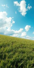 Fototapeta premium Lush green meadow under a vibrant blue sky dotted with fluffy white clouds, earth,vista,sky