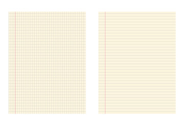 Graph and lined paper template with red margin for school and office use. Geometric pattern for school, wallpaper, textures, notebook. Lined blank