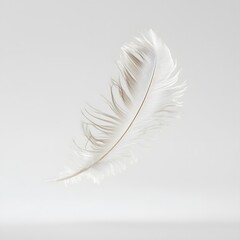 Delicate White Feather Floating Gracefully Against a Soft Neutral Background, Symbolizing Lightness, Freedom, and Serenity in Nature Photography
