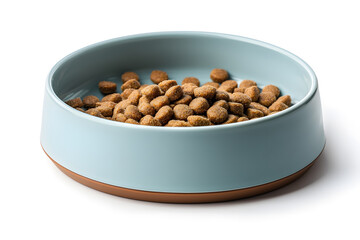 Dry cat or dog food in bowl isolated on white