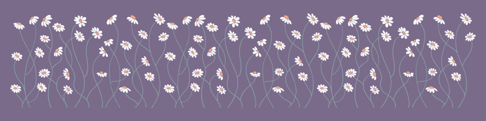 Floral plants, flowers, daisies, chamomile, daisy. Decorative elements for decoration. Hand drawing doodles of vector botanical elements in flat style