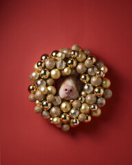 A dog face is framed by a golden Christmas wreath, surrounded by glittering baubles. The red backdrop adds warmth to the festive elegance of the composition.
