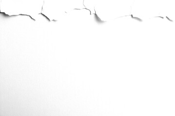 Fototapeta premium PNG White textured paper background white torn edge.