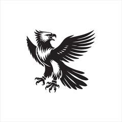 Obraz premium eagle with wings